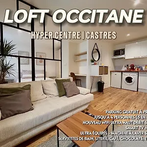 Appartement Loft Occitane Hyper Centre Castres, Castres (Tarn)